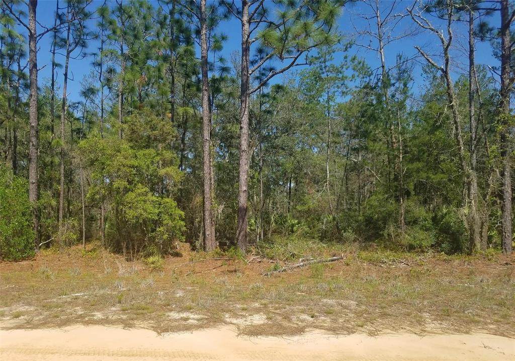 Interlachen Lakes Estates Unit #16 - Photo 1