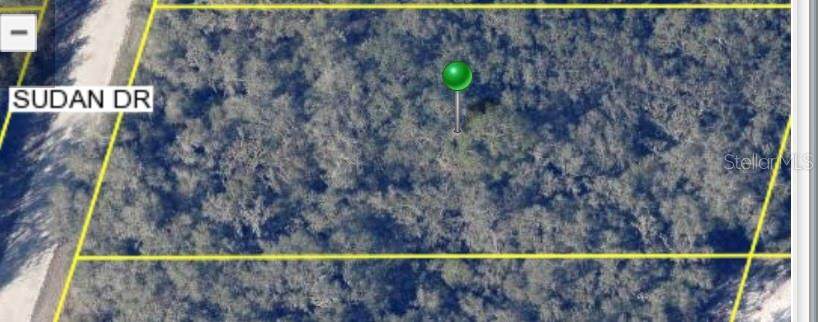  Sudan Drive - Photo 1