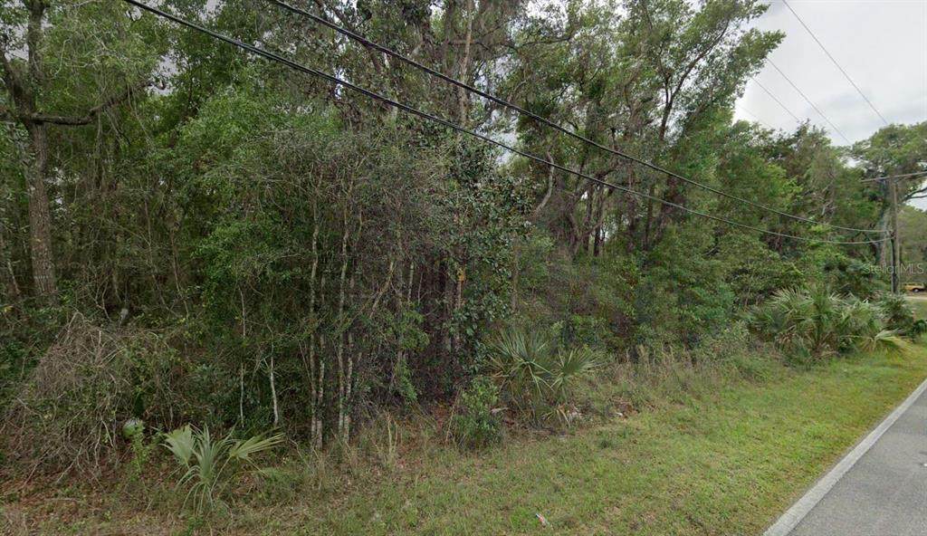 Reynolds Road - Photo 1