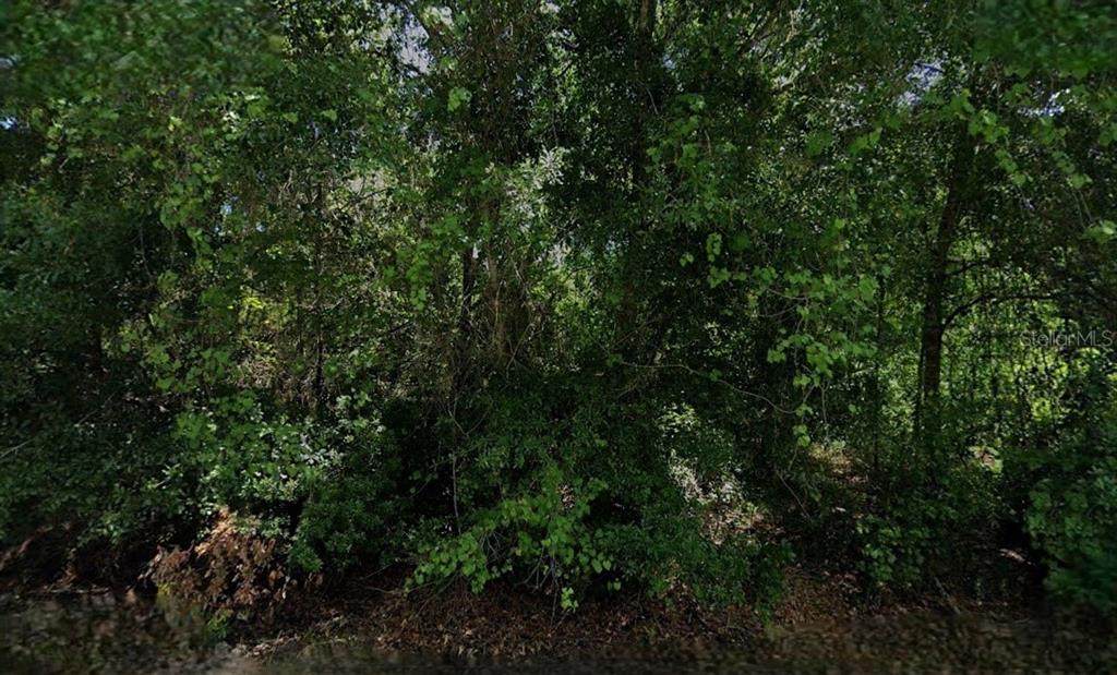 6810 Vanda Place - Photo 1