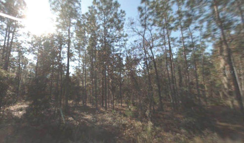  159TH Terrace - Photo 1