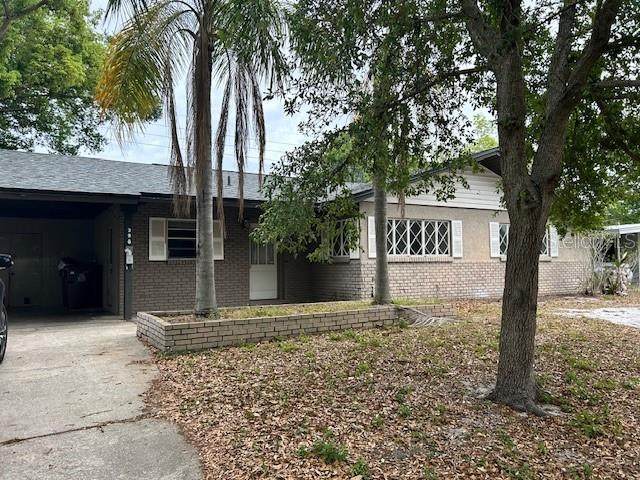 3901 Ibis Drive - Photo 1