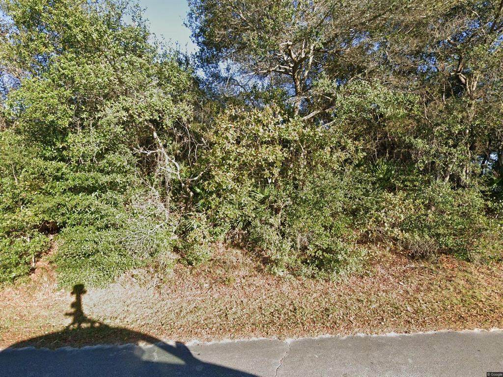 215 Buena Vista Street - Photo 1