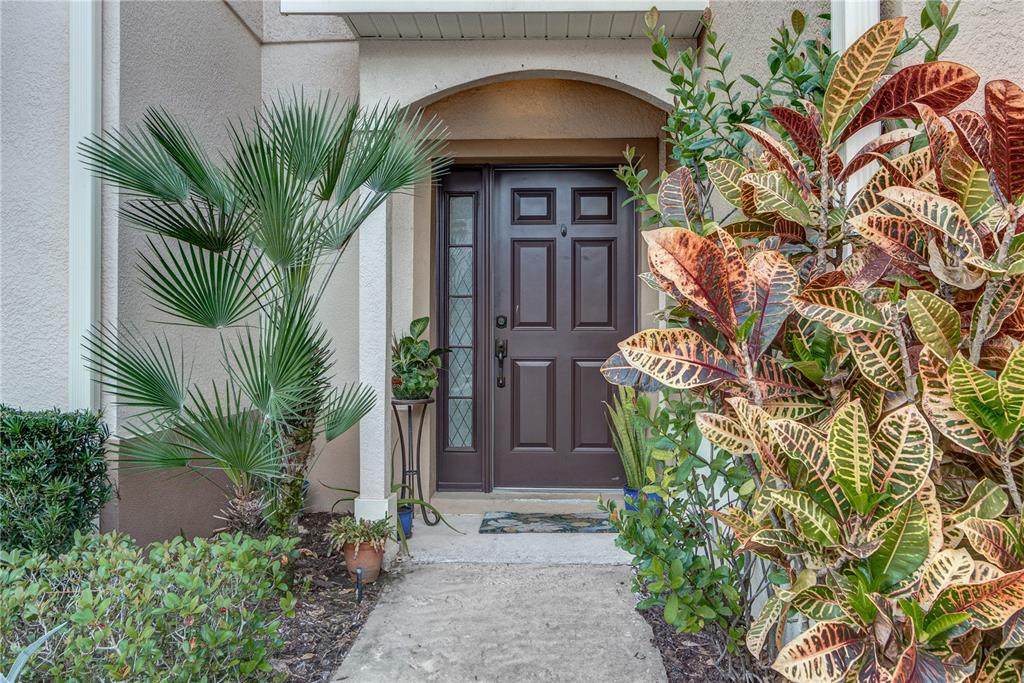 558 Pinebranch Circle - Photo 1
