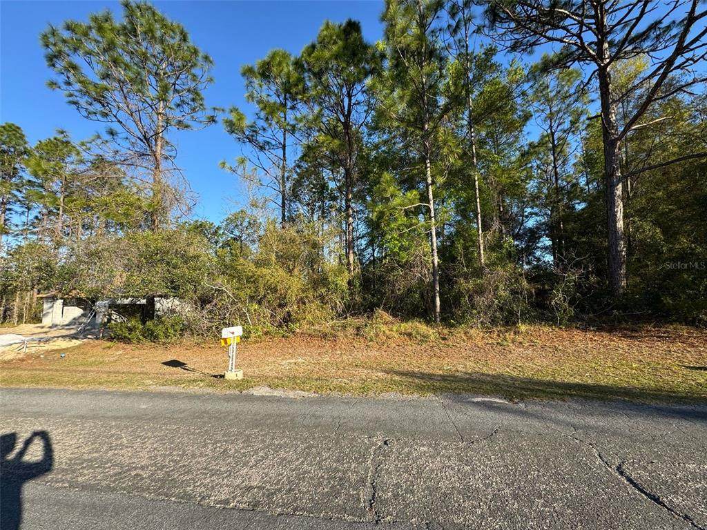 7890 Pocono Drive - Photo 1