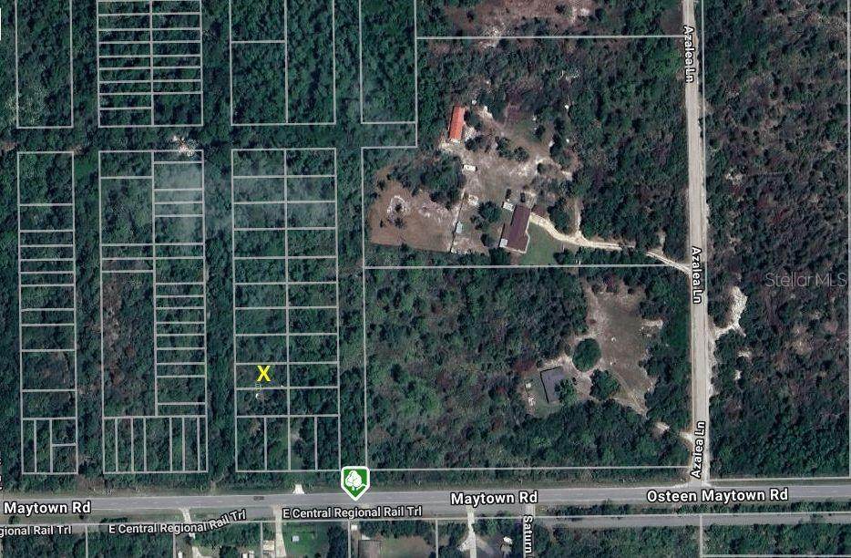  Osteen Maytown Road - Photo 1