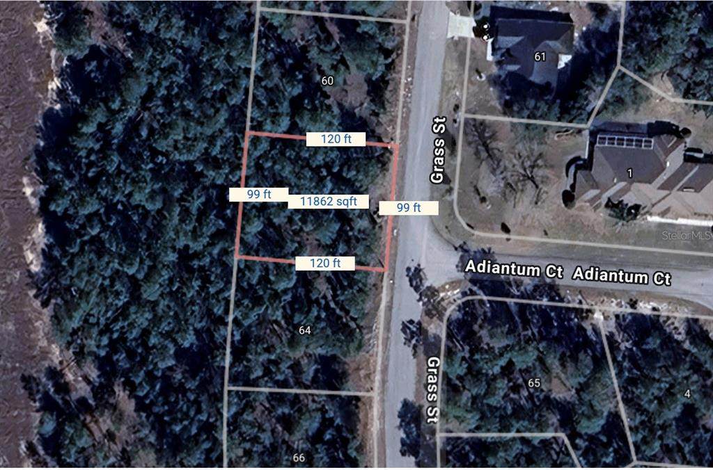 64 Grass Street - Photo 1