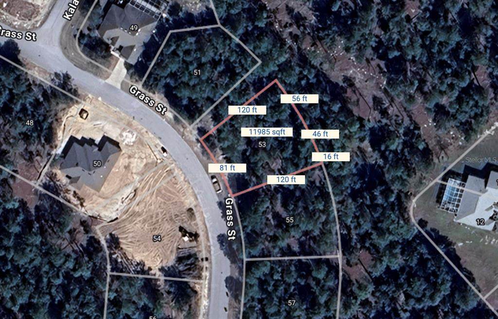 53 Grass Street - Photo 1