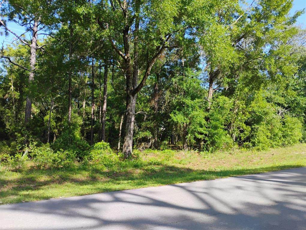  North East 155Th Court - Photo 1