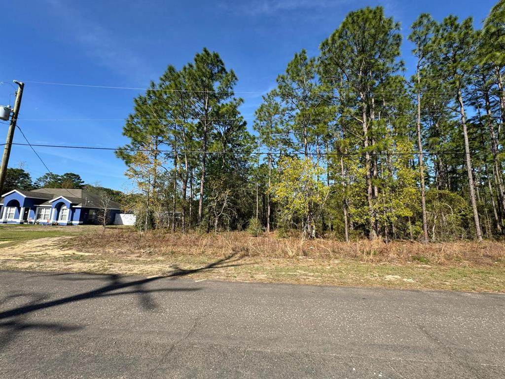 6994 Lockwood Way - Photo 1