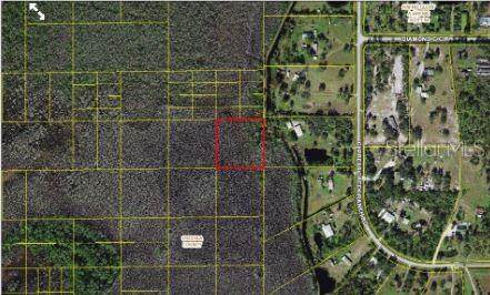  Holopaw Groves Road - Photo 1