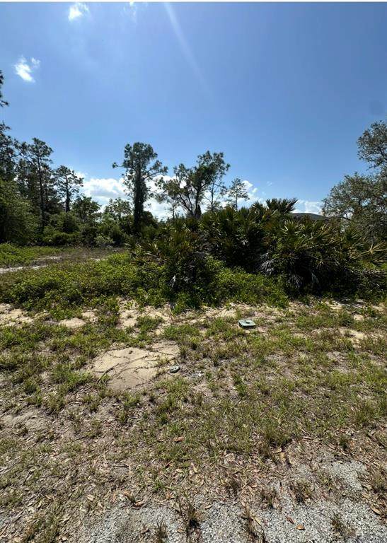 1327 St Augustine Drive - Photo 1