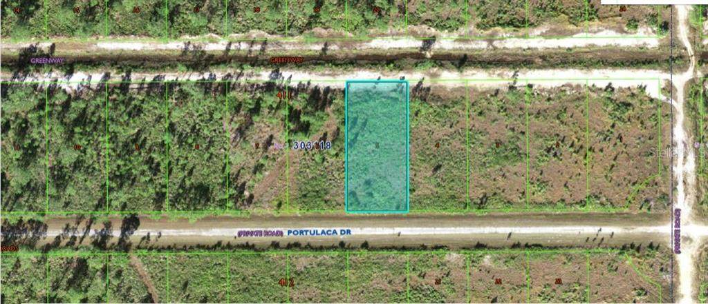710 Portulaca Drive - Photo 1
