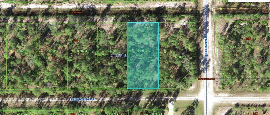 604 Tropicana Drive - Photo 1