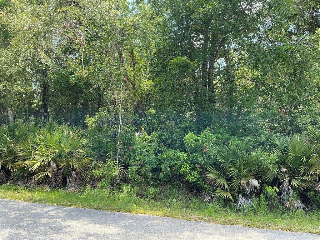 Lot 14 Nw 118Th Ter - Photo 1