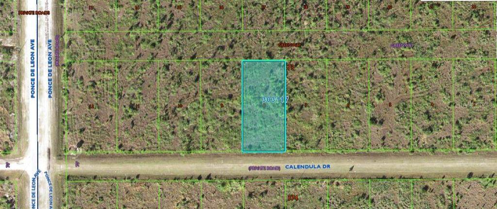 316 Calendula Drive - Photo 1