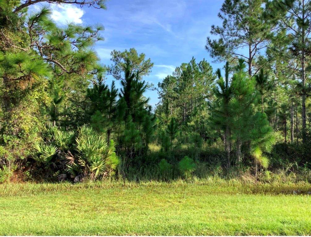 Sabal Street - Photo 1