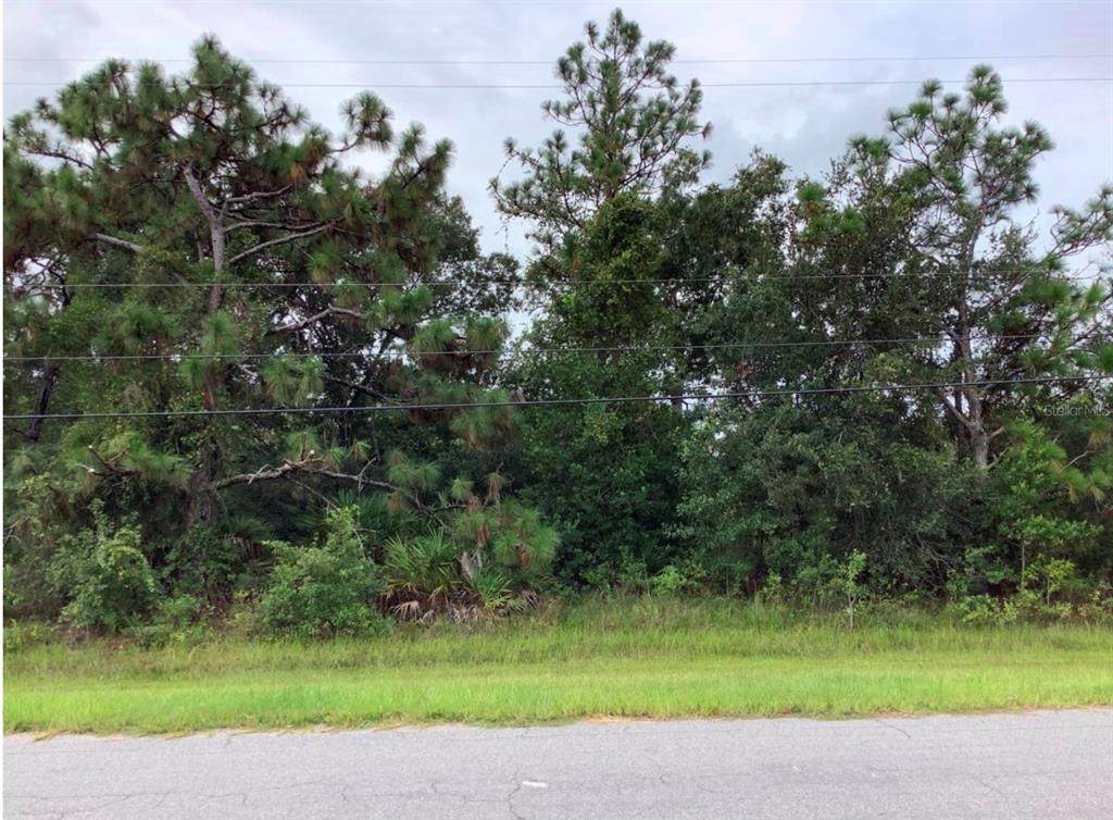 Oberly Parkway - Photo 1