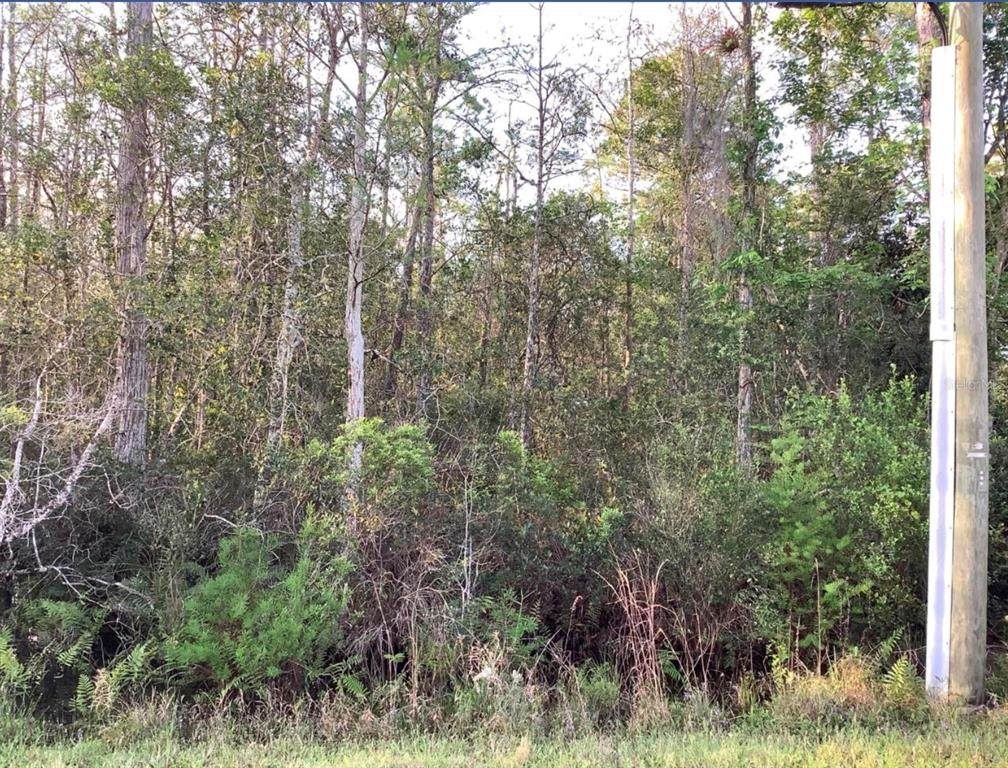 20828 Quinlan Street - Photo 1