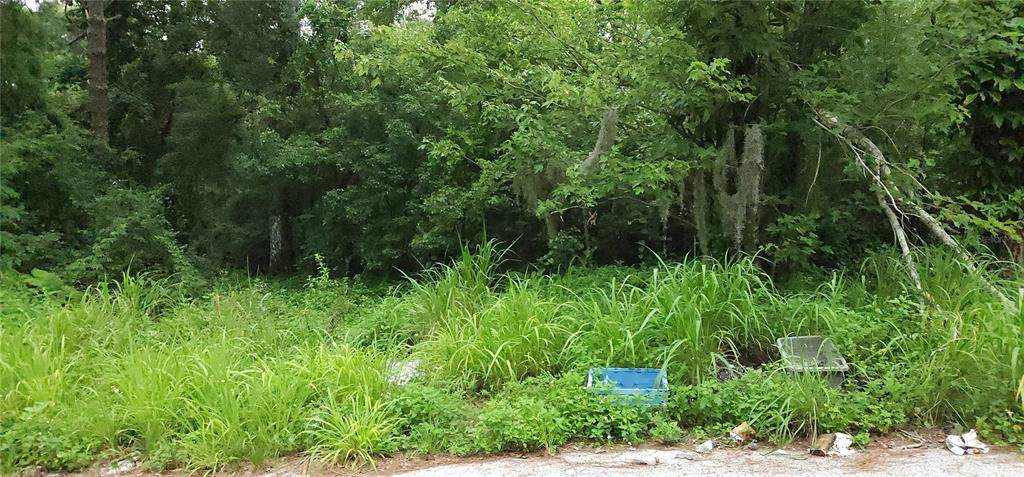  Park Avenue - Photo 1