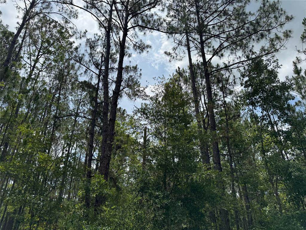  Havana Road - Photo 1