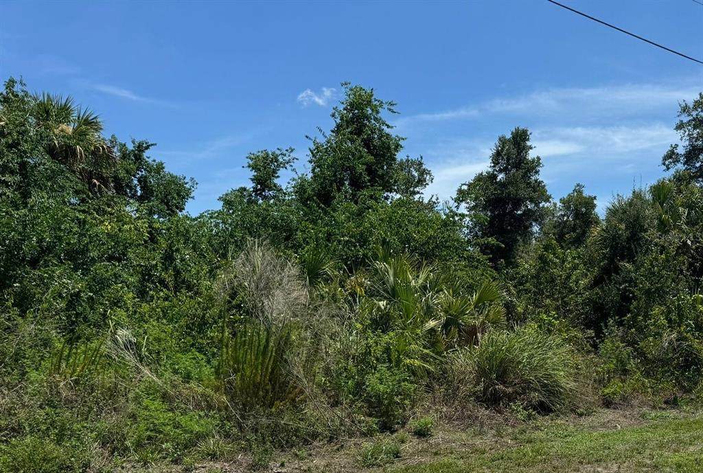 8014 135TH STREET Road - Photo 1