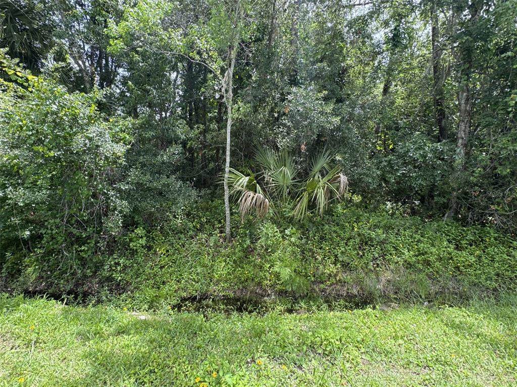 2737 10TH Street - Photo 1