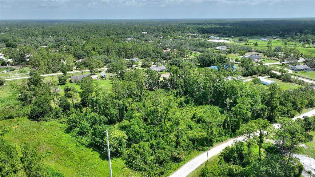 3989 Cresthill Lane - Photo 1