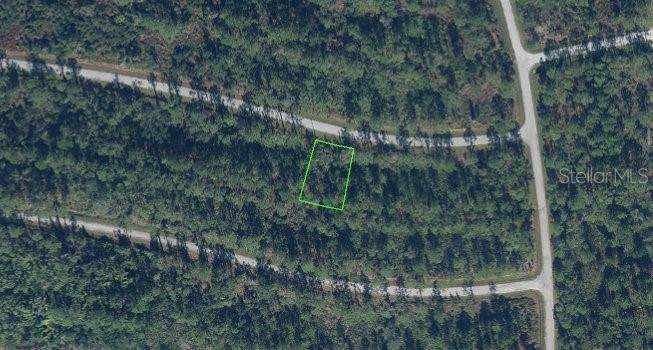 8433 Capilla Street - Photo 1