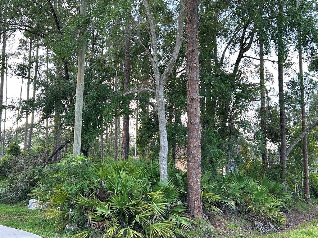 2050 10TH Avenue - Photo 1