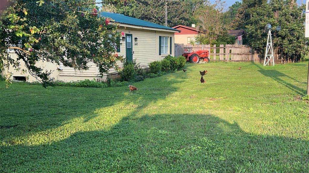 3691 County Road 466 - Photo 1