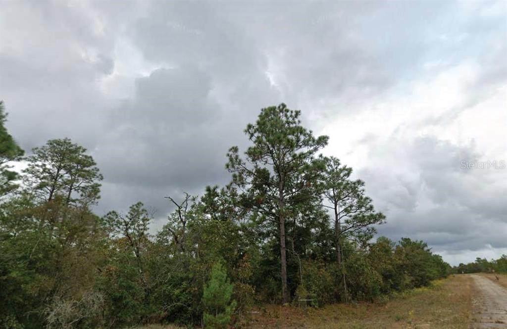  Bentley Court - Photo 1