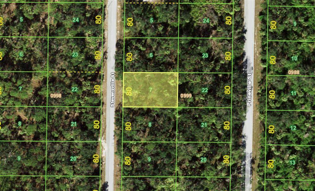 88 Stevensville Street - Photo 1