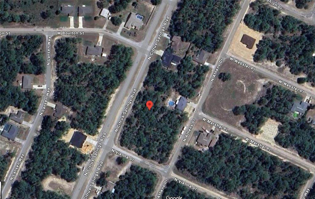 8965 Citrus Springs Boulevard - Photo 1