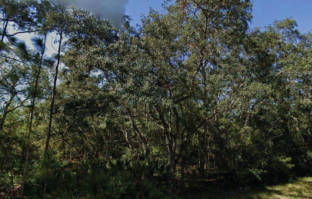  Theresa Avenue - Photo 1