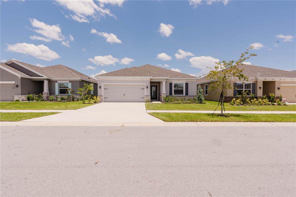 2347 Selenia Street - Photo 1