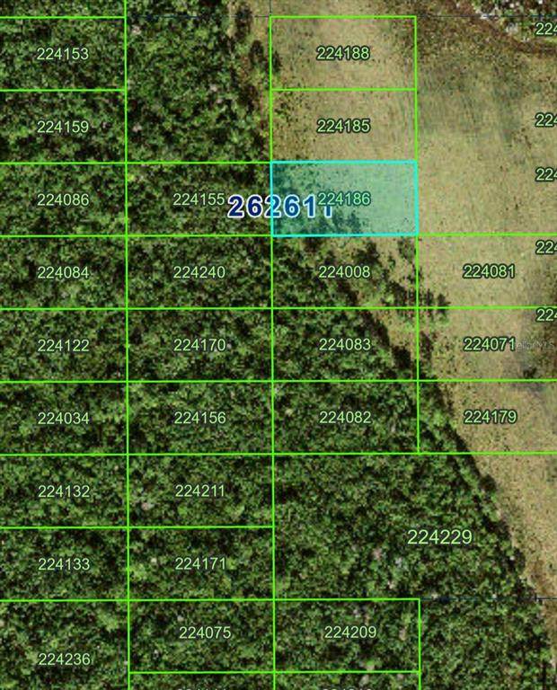 0 No Name Rd - Photo 1