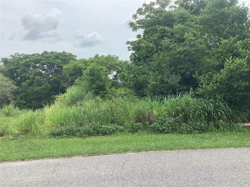 2055 Prairie Circle - Photo 1