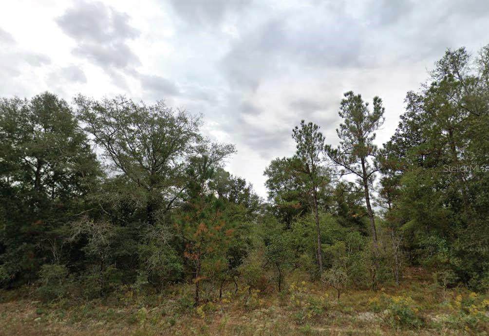  Matheson Street - Photo 1