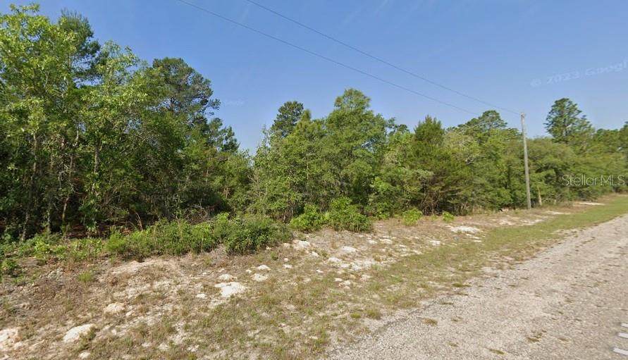 7619 Normandy Place - Photo 1