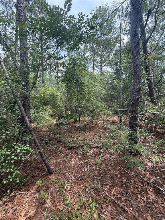  38TH Circle - Photo 1