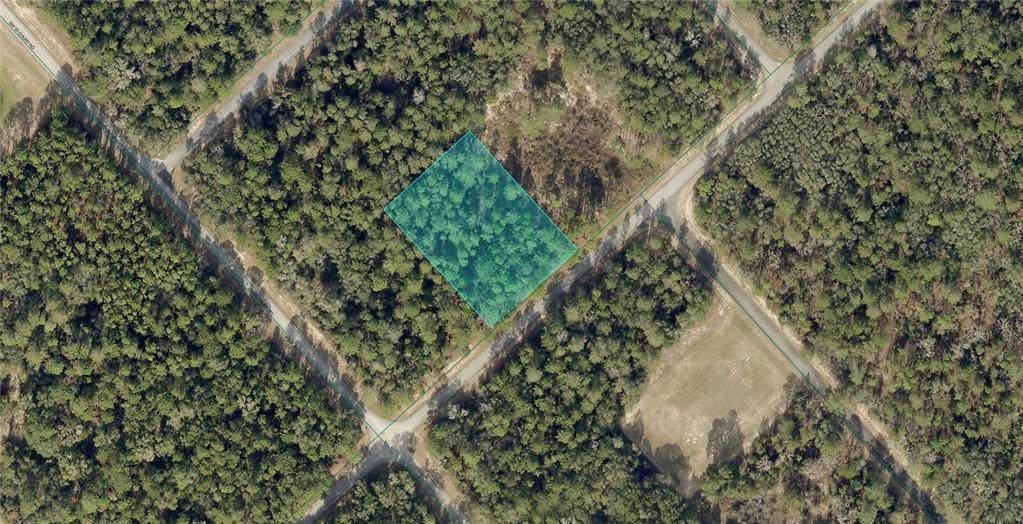 172ND PLACE Road - Photo 1