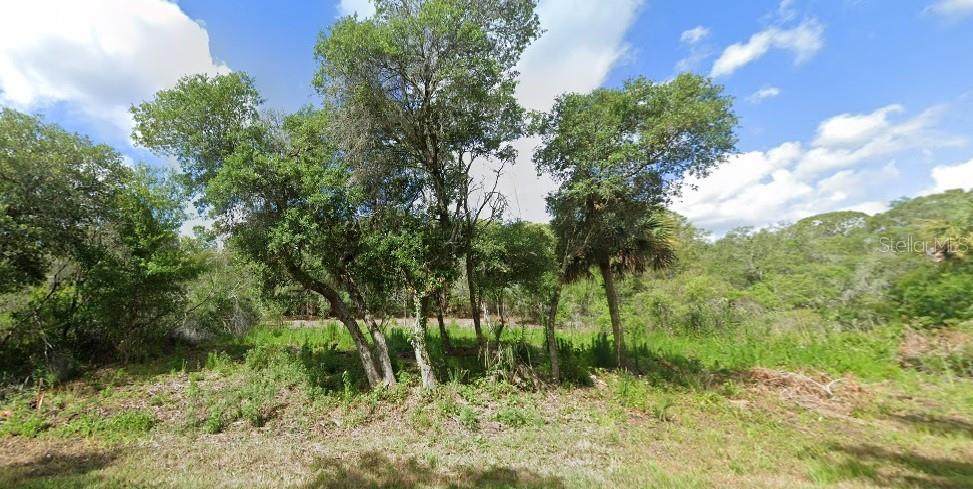 1457 Candy Lane - Photo 1