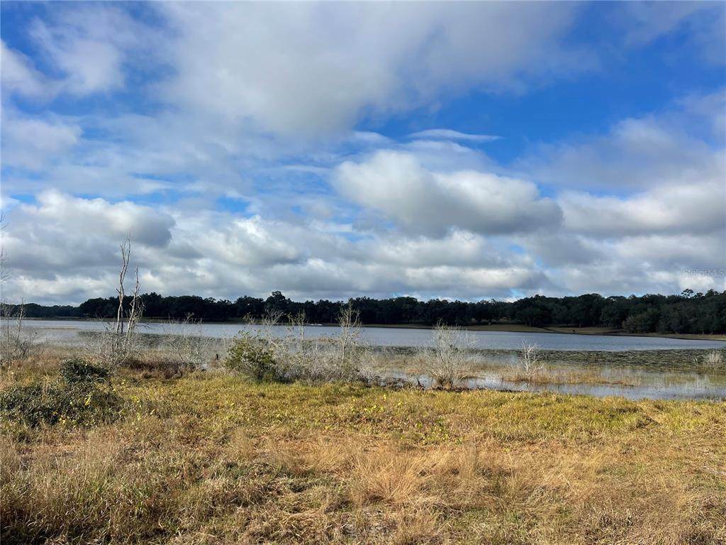  Grays Airport Road - Photo 1