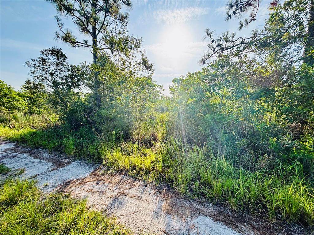 0 Shakedown Street - Photo 1