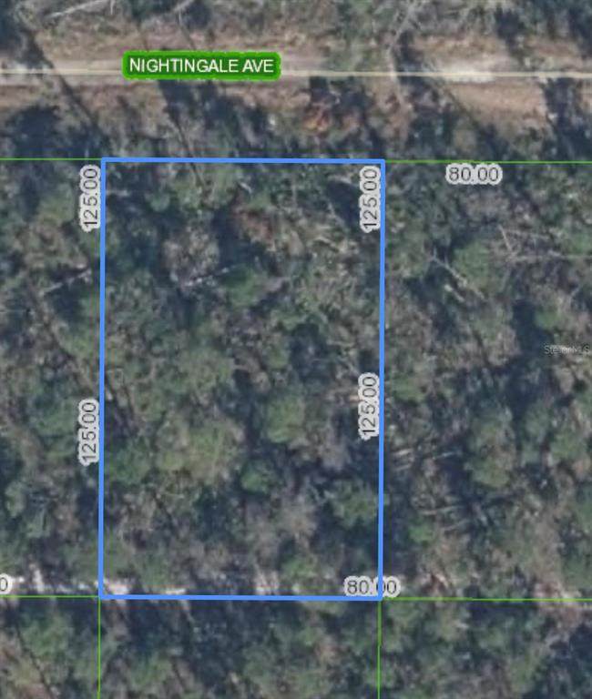 455 Nightingale Avenue - Photo 1