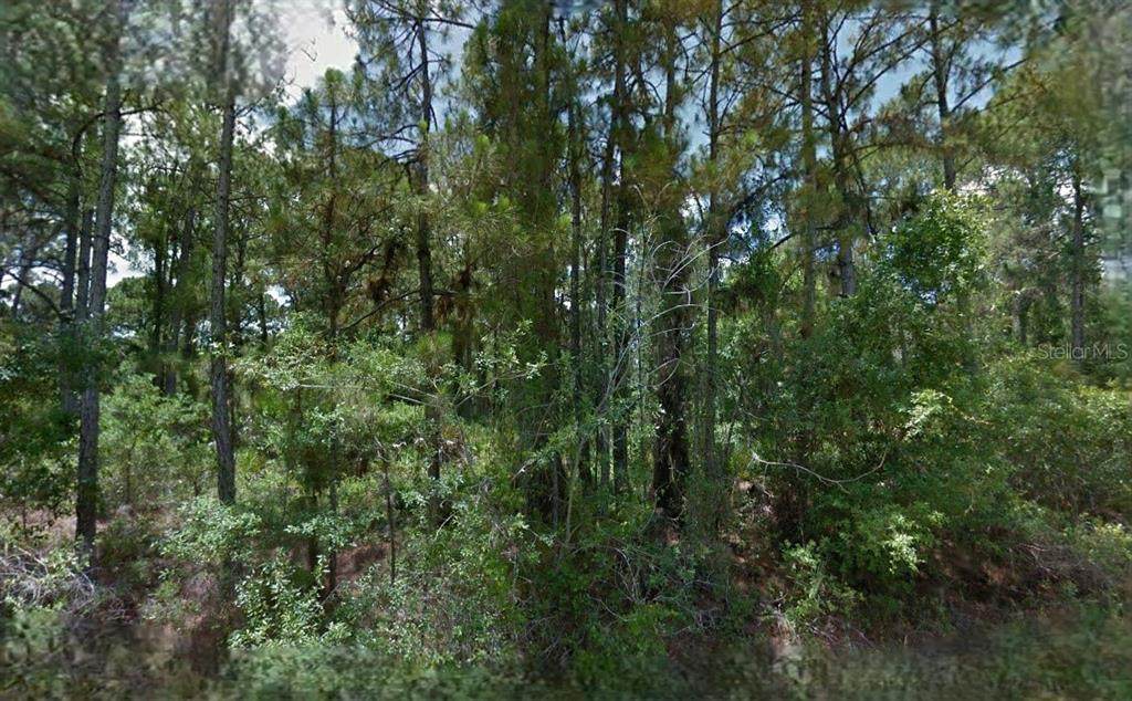  Boyd Avenue - Photo 1