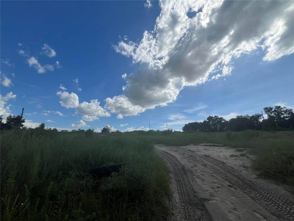  Kelly Park Road - Photo 1