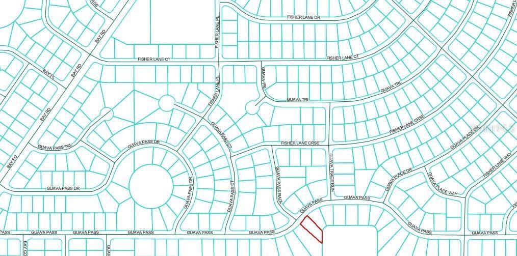  Guava Pass - Photo 1