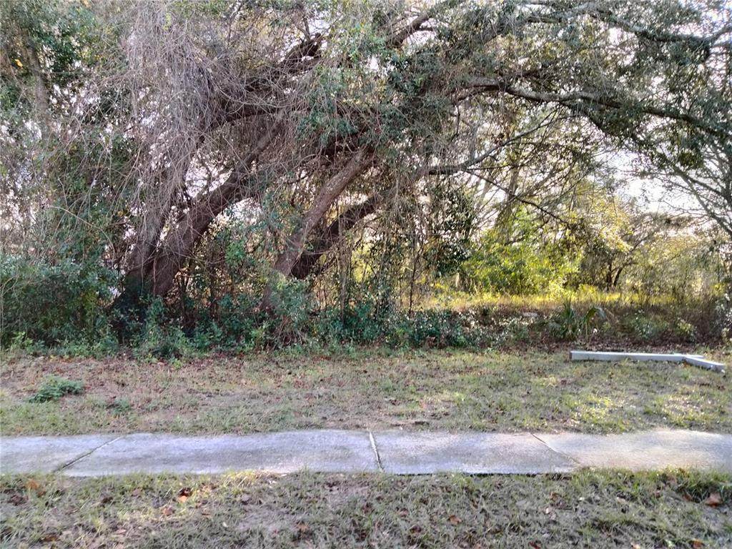  Sheeler Oaks Drive - Photo 1